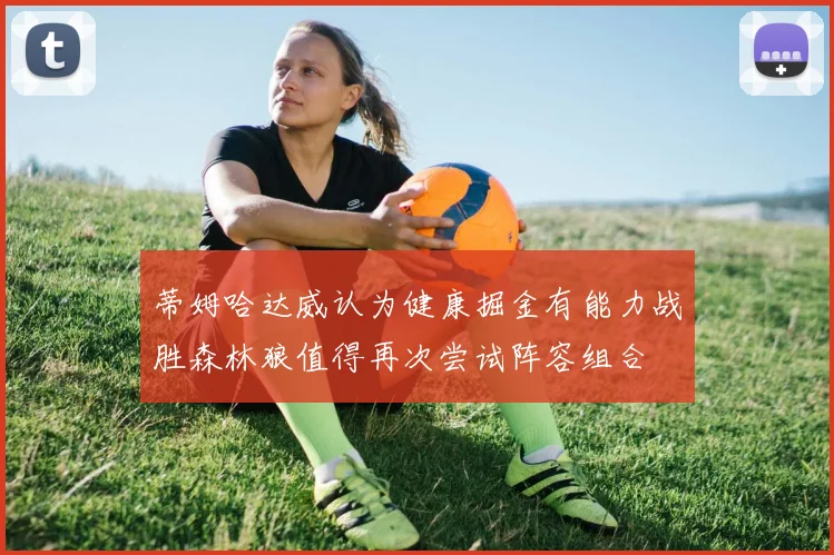 蒂姆哈达威认为健康掘金有能力战胜森林狼值得再次尝试阵容组合
